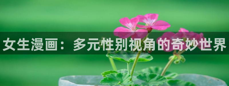 漫蛙腐宅：女生漫画：多元性别视角的奇妙世界