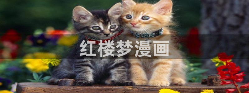 我天命大反派漫蛙漫画：红楼梦漫画