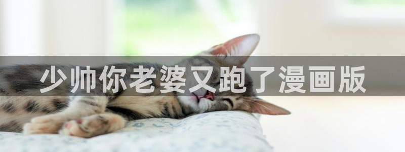 漫蛙漫画图片：少帅你老婆又跑了漫画版