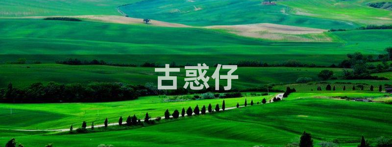 漫蛙下载韩漫：古惑仔