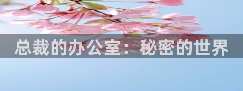 恶人想要抢救一下漫蛙：总裁的办公室：秘密的世界